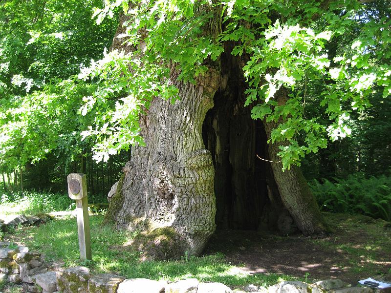 Ev1-B.jpg