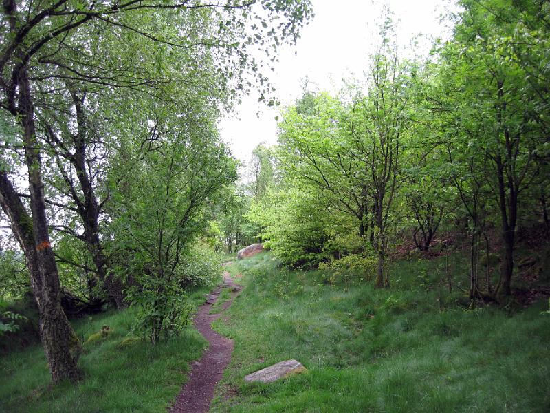 Walk-R10_008.jpg