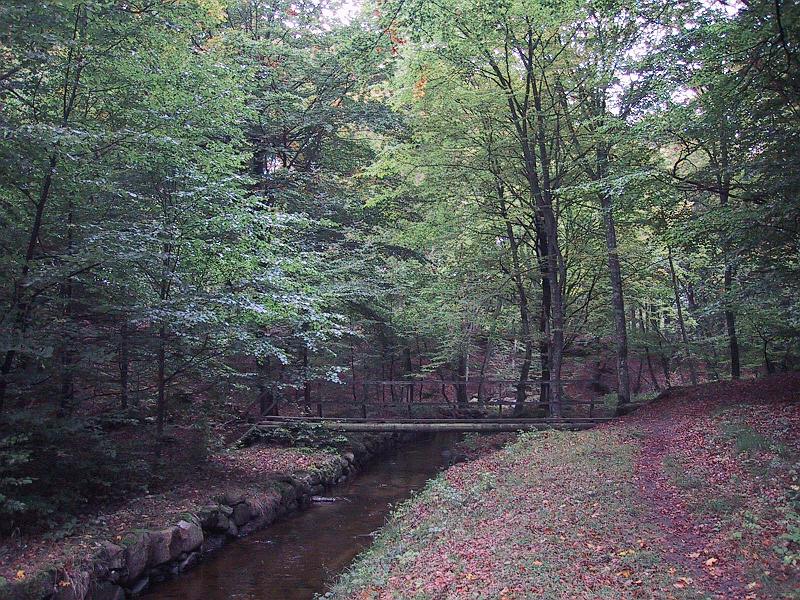 Walk-R11_002.jpg