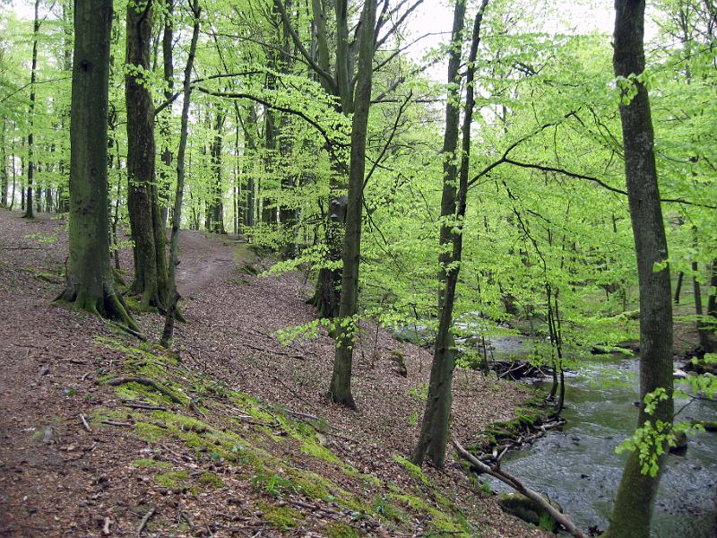 Walk-R12_011.jpg