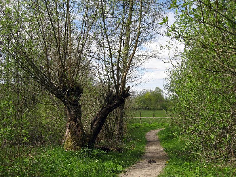 Walk-R12_014.jpg