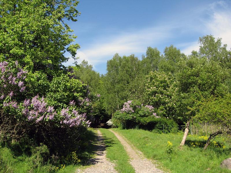 Walk-R14_007.jpg