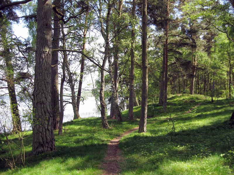 Walk-R15_006.jpg
