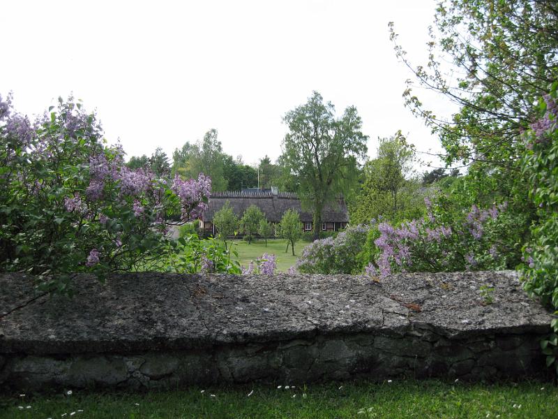 Walk-R15_010.jpg