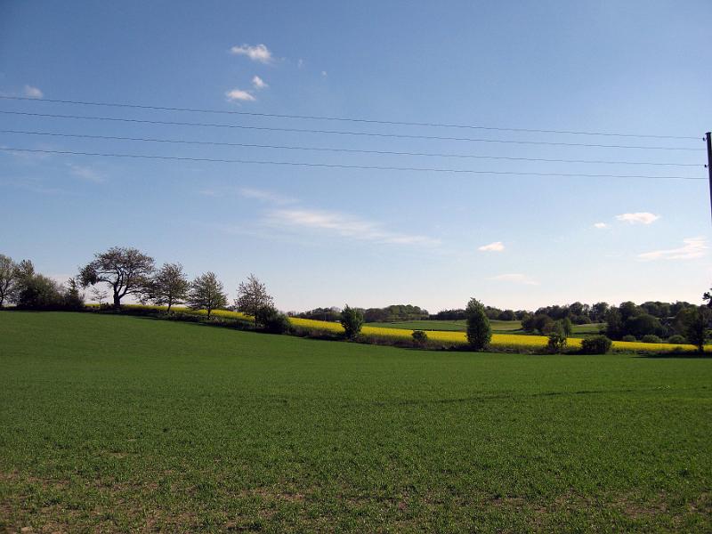 Walk-R16_011.jpg