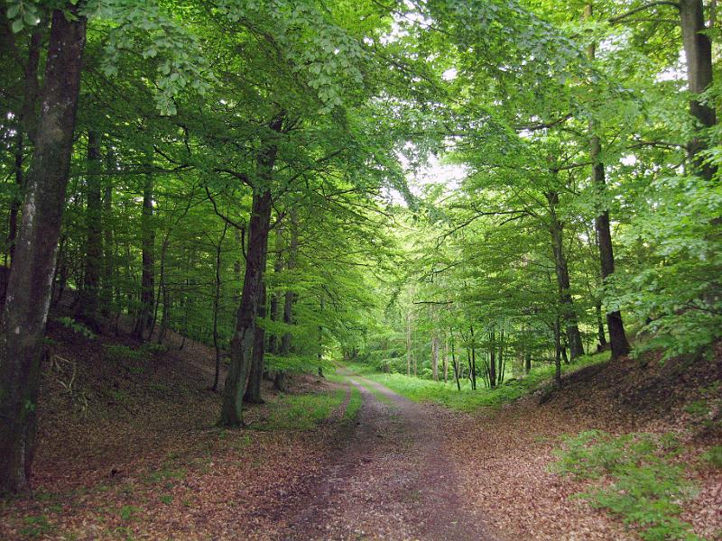 Walk-R17_014.jpg