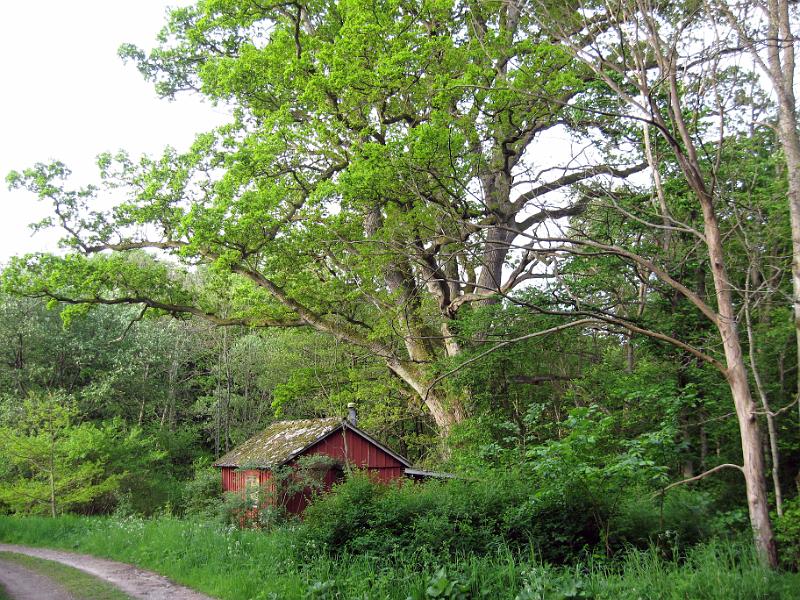 Walk-R17_015.jpg