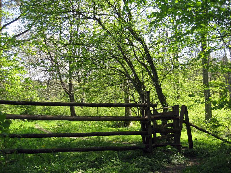 Walk-R19_003.jpg