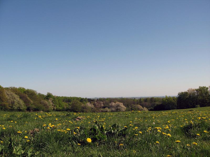 Walk-R19_004.jpg