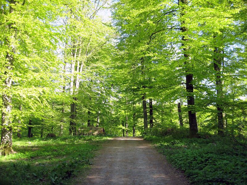 Walk-R19_011.jpg