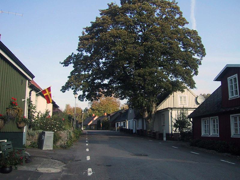 Walk-R20_004.jpg