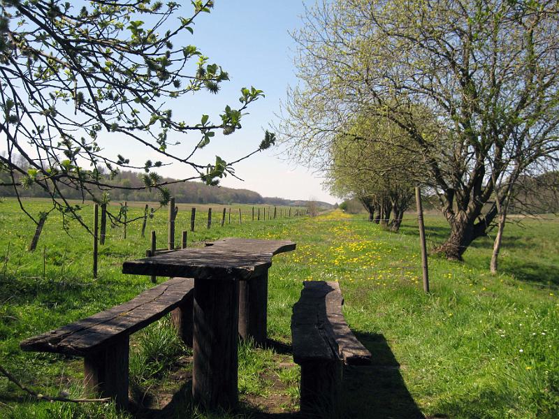 Walk-R20_008.jpg