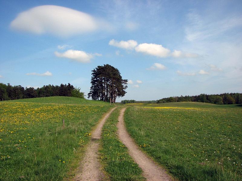 Walk-R21_003.jpg