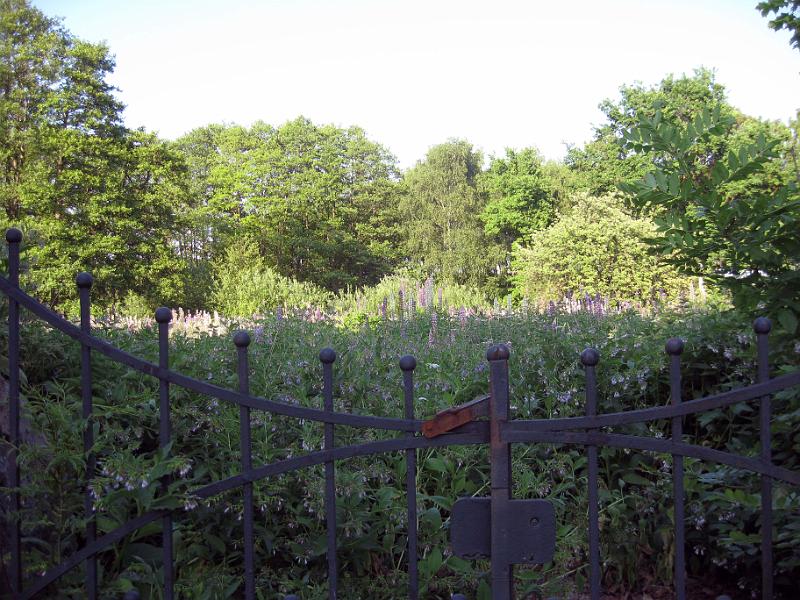 Walk-R25_050.jpg