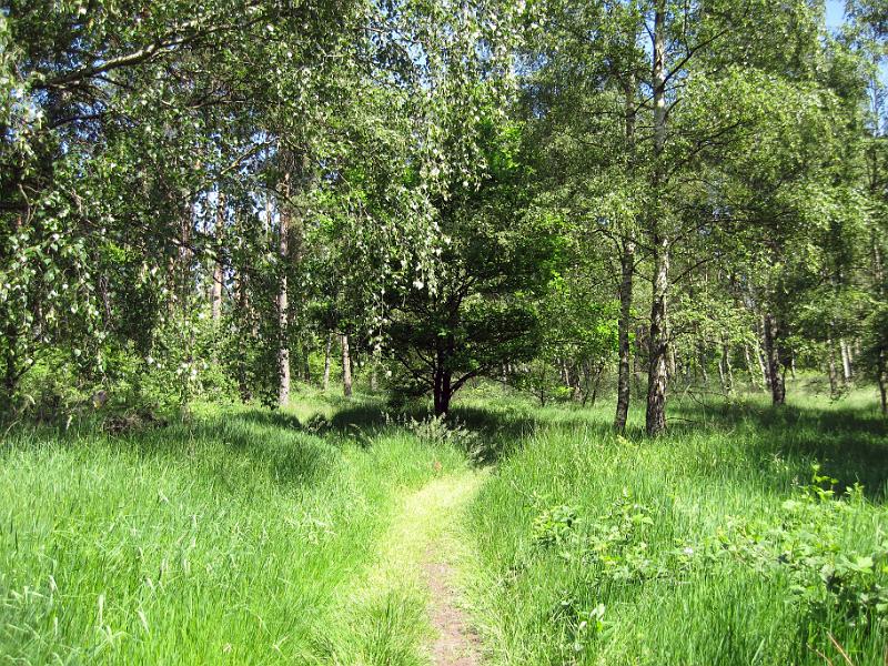 Walk-R27_005.jpg