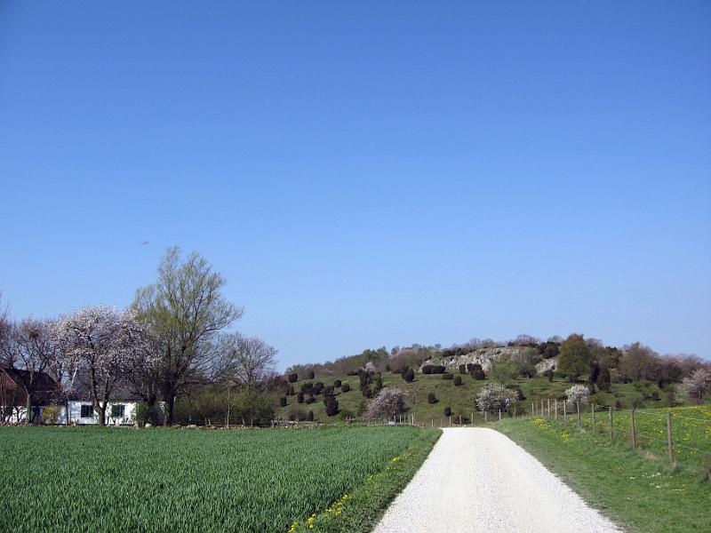 Walk-R29_056.jpg