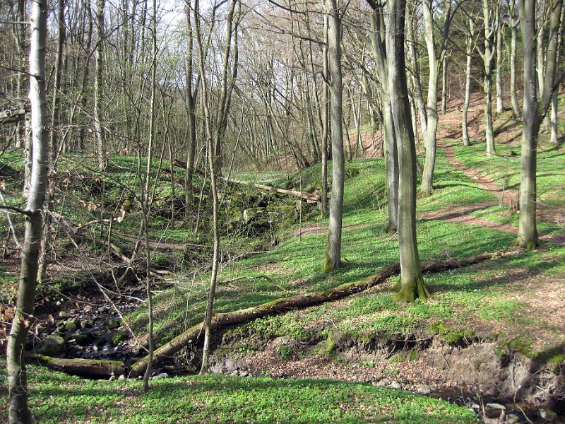 Walk-R2_003.jpg