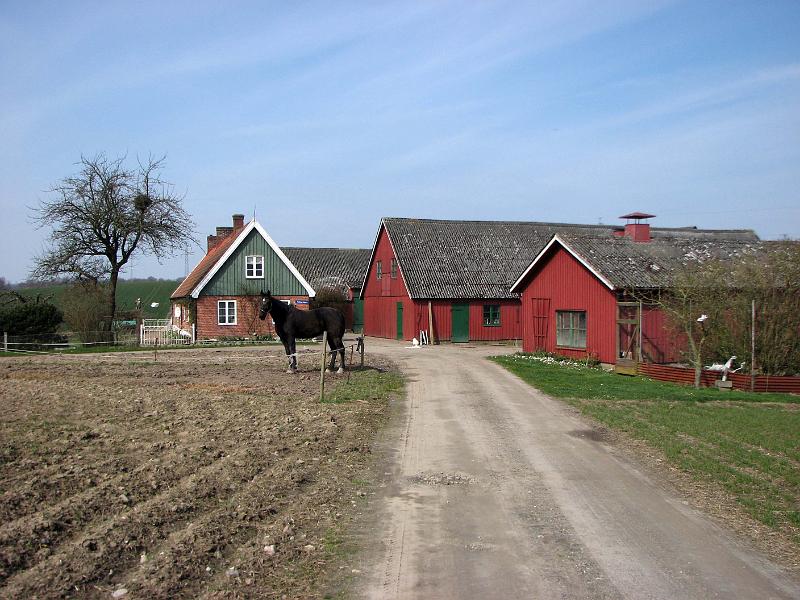 Walk-R30_004.jpg