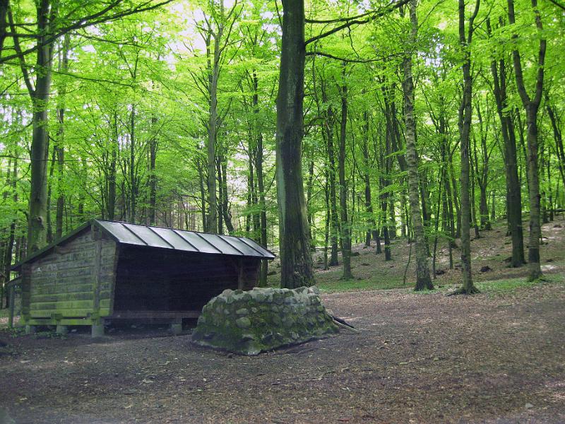 Walk-R3_003.jpg