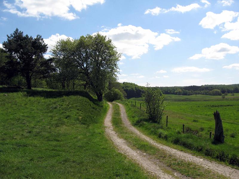 Walk-R5_005.jpg