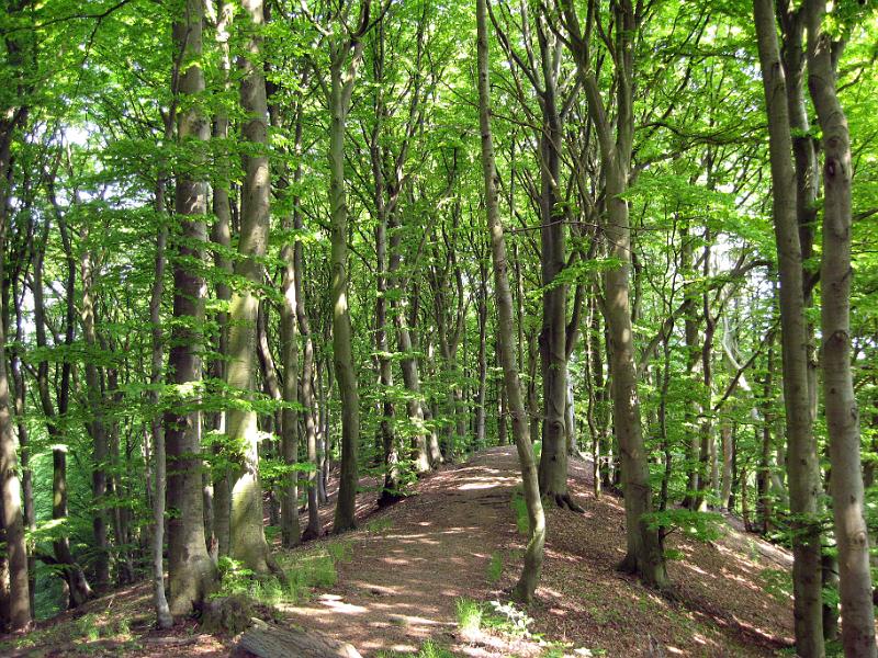 Walk-R7_002.jpg