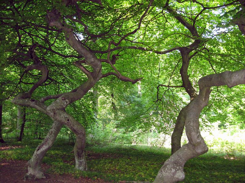 Walk-R7_005.jpg