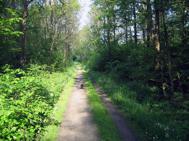 Walk-R8_005.jpg