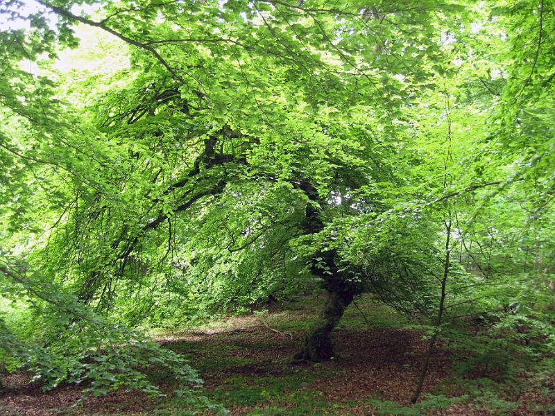 Walk-R8_010.jpg