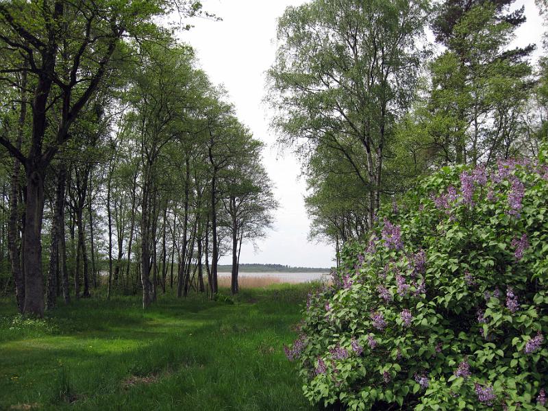 Walk-R9_007.jpg