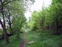 Walk-R10_008