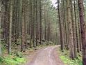 Walk-R10_012