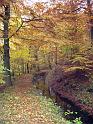 Walk-R11_006