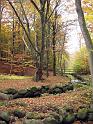 Walk-R11_007
