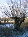 Walk-R12_007
