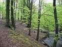 Walk-R12_011