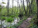 Walk-R12_012