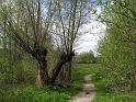 Walk-R12_014