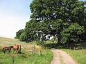 Walk-R12_07548