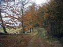 Walk-R13_003
