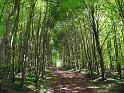 Walk-R13_005