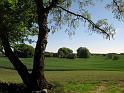 Walk-R13_006