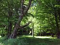 Walk-R13_007