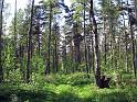 Walk-R15_009