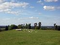 Walk-R16_008