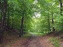 Walk-R17_014