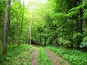 Walk-R17_019