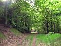 Walk-R17_021