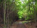Walk-R17_024