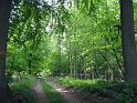 Walk-R18_005