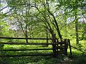 Walk-R19_003